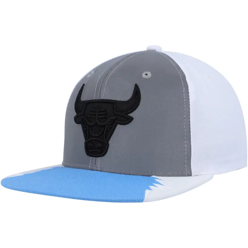 men8217s chicago bulls mitchell amp ness silverblue day 5 snapback hat